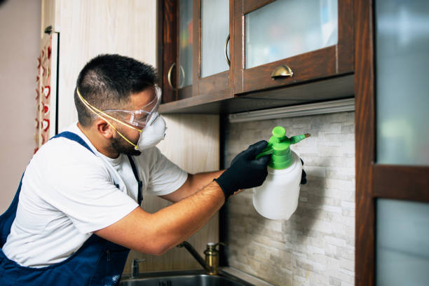 Best Cockroach Control Services  in Lavalette, WV