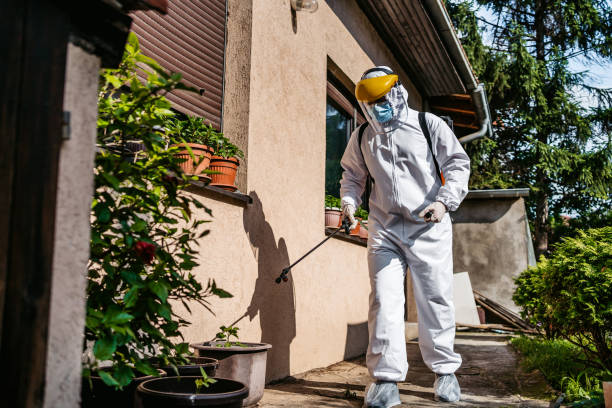 Best Commercial Pest Control Services  in Lavalette, WV