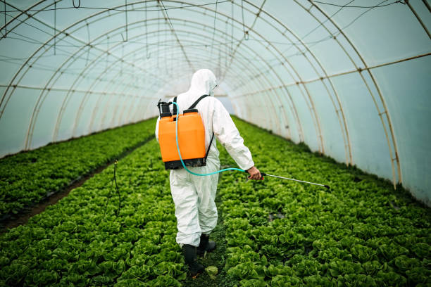 Best Best Pest Control Companies  in Lavalette, WV