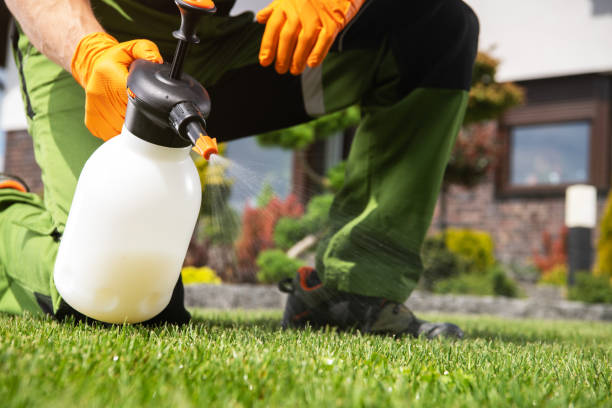 Best Best Pest Control Companies  in Lavalette, WV