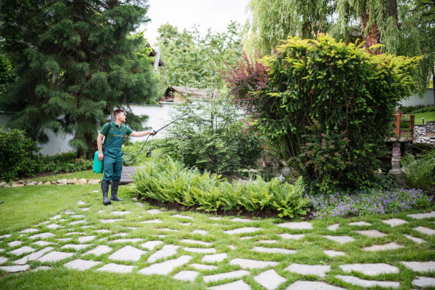 Best Mosquito Control Services  in Lavalette, WV