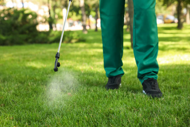 Best Exterminator Services  in Lavalette, WV