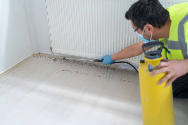 Best Emergency Pest Control  in Lavalette, WV