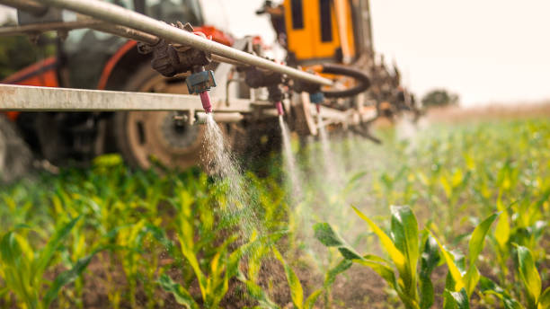 Best Commercial Pest Control Services  in Lavalette, WV