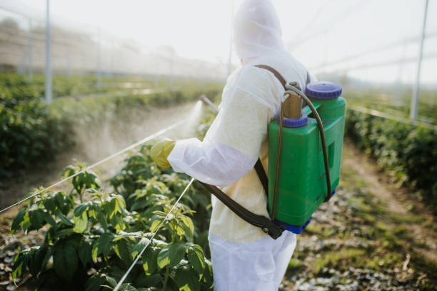 Best Local Pest Control Services  in Lavalette, WV